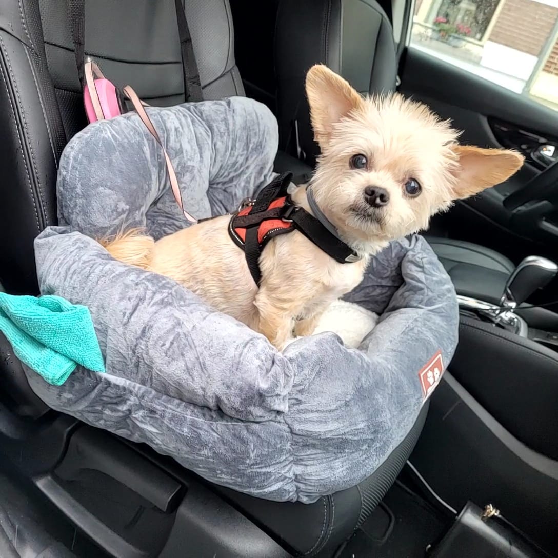 Autostoel Hond Deluxe - Honden Automand Comfortabel - Hondendeken Auto