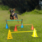 Agility Voor De Hond - Honden Training - Dog Activity - Behendigheid Hond - Parcours